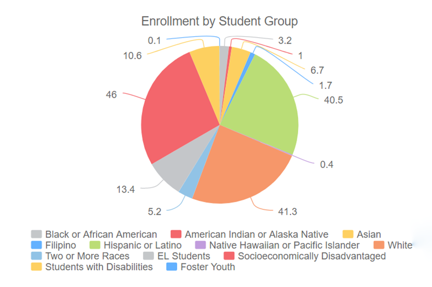 Pie chart showing diversity in enrollment at NUSD