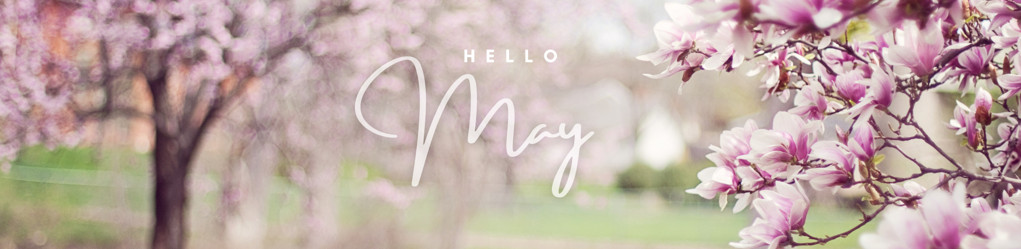 "Hello May" with cherry blossom trees in background