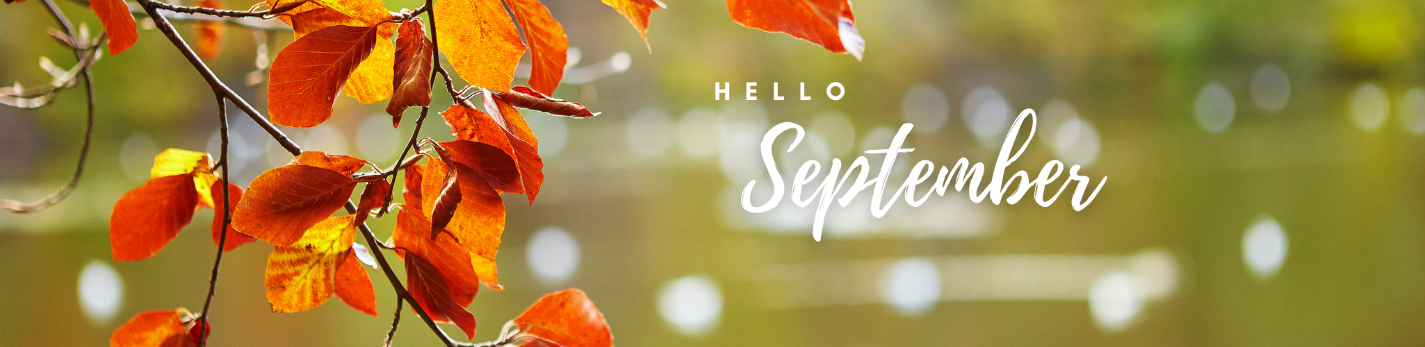 Hello September with Fall Leaves